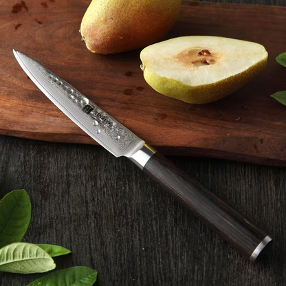 6-Piece Non-Stick Stainless Steel Kitchen Knife Set with Wooden Holder